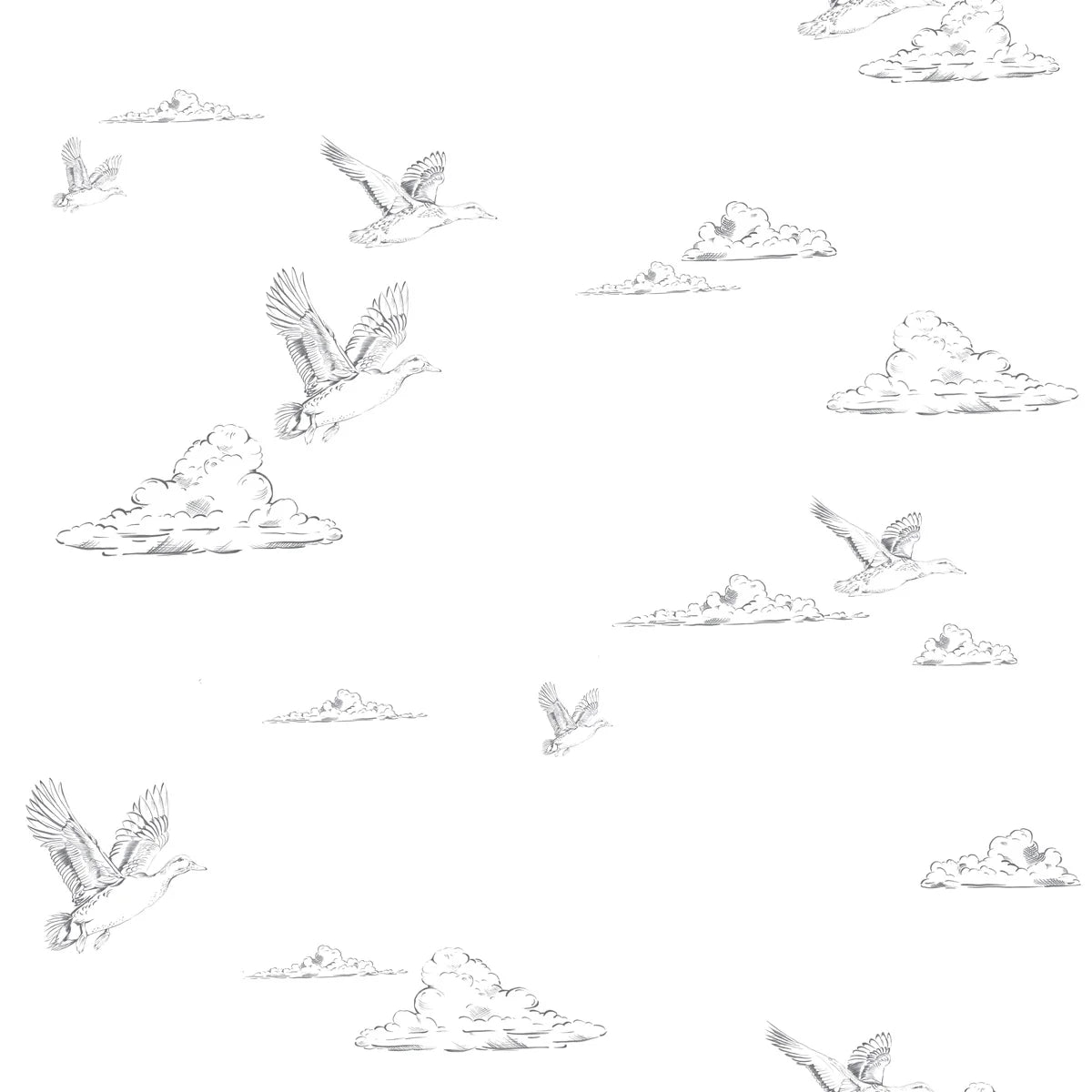Tapeta Ducks in the sky White