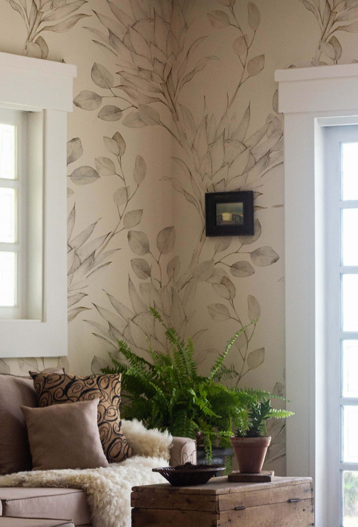 Tapeta eukaliptus kremowy