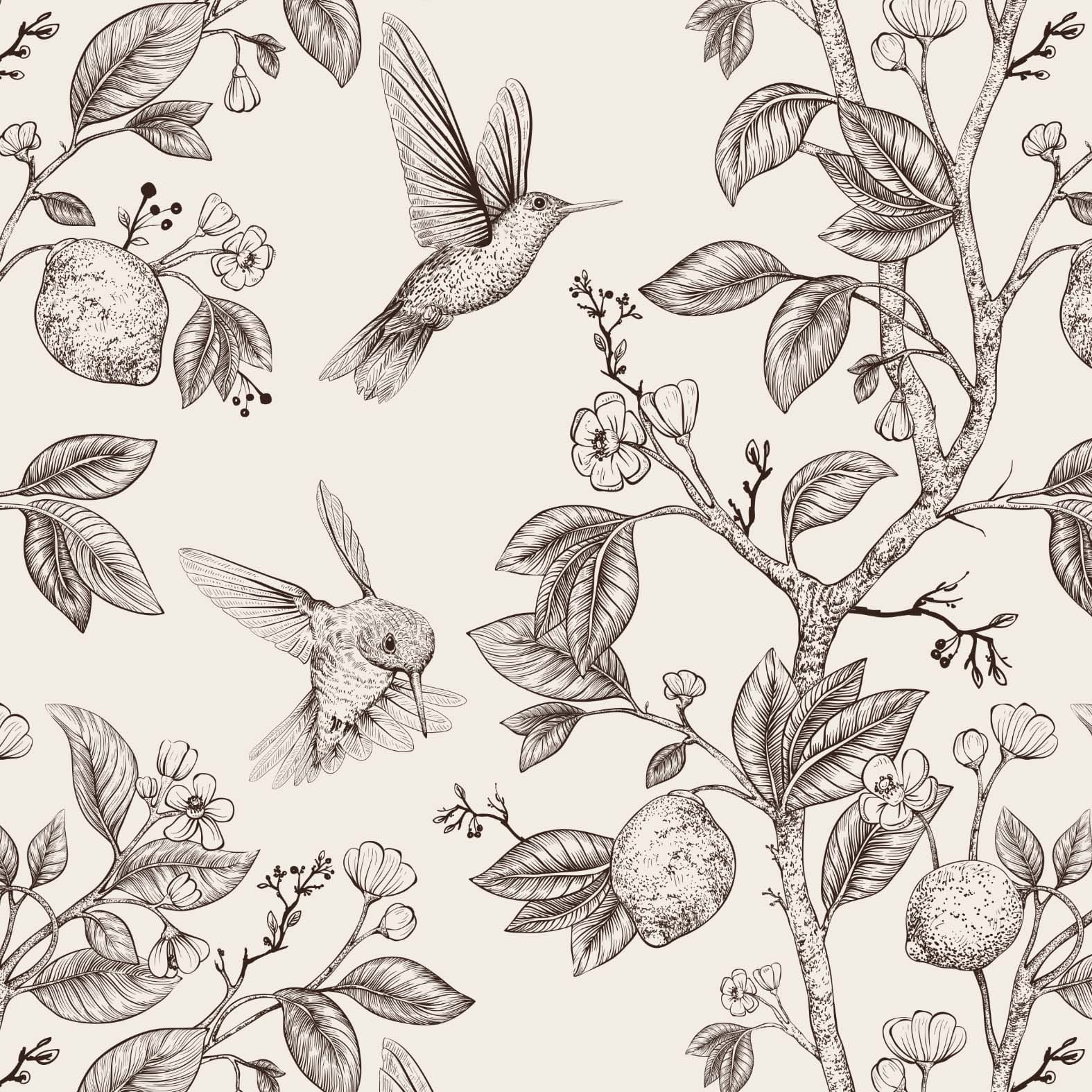 Tapeta kolibry i cytryny brązowe
