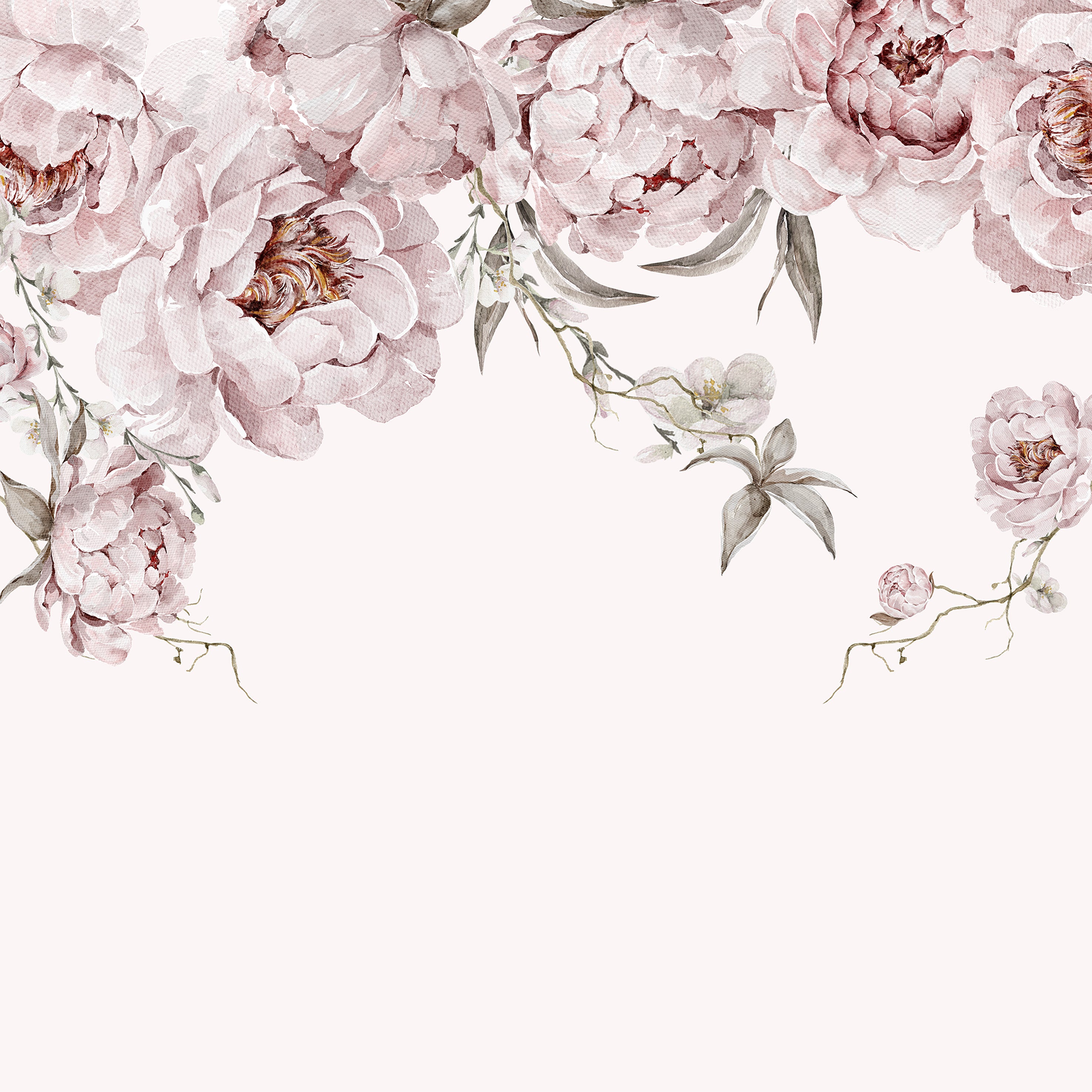 Tapeta Mural Różowe Piwonie