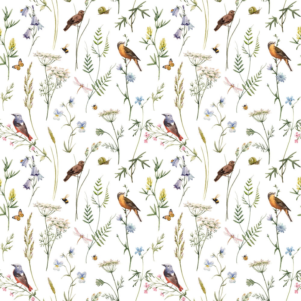 Tapeta ptaszki na łące