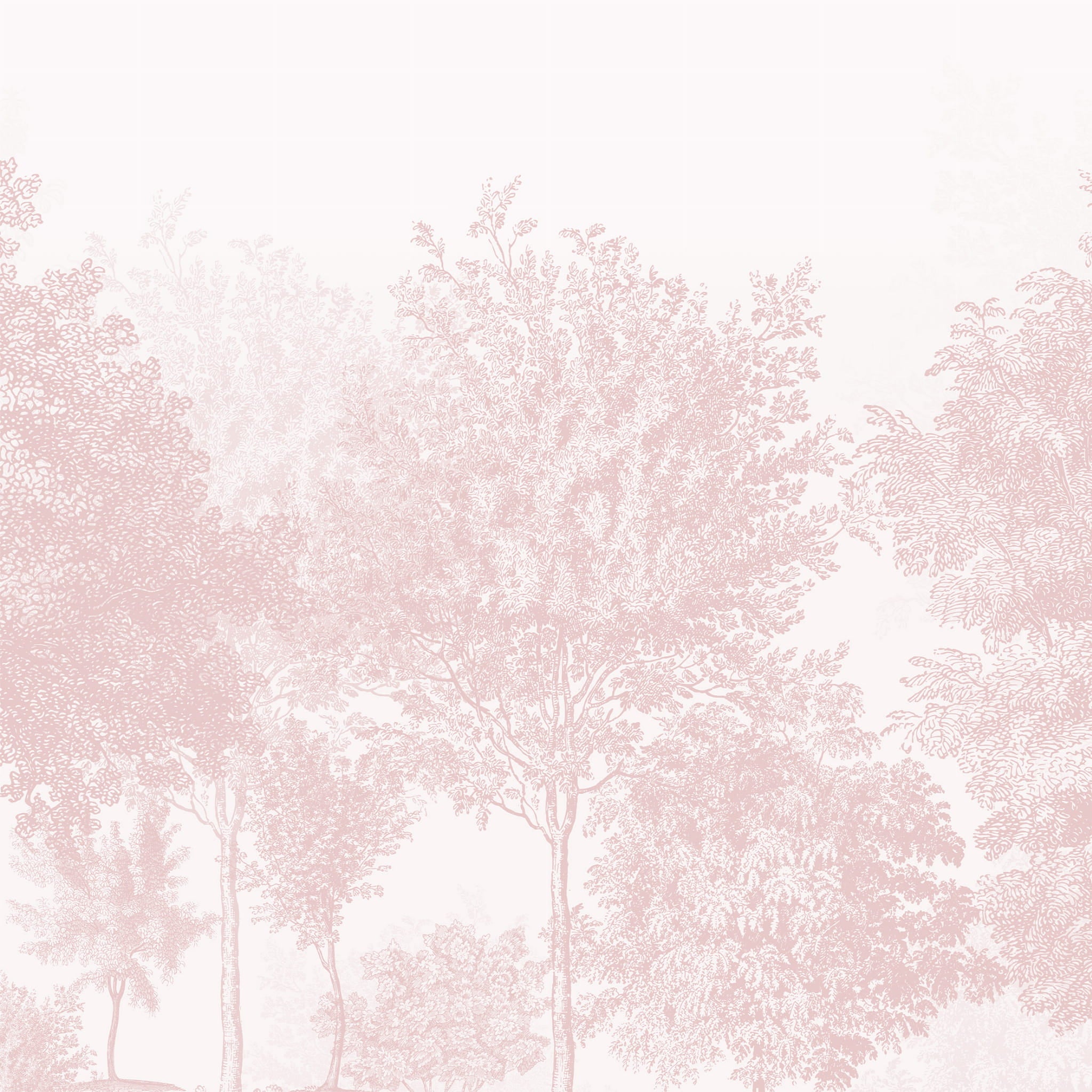 Tapeta mural drzewa róż