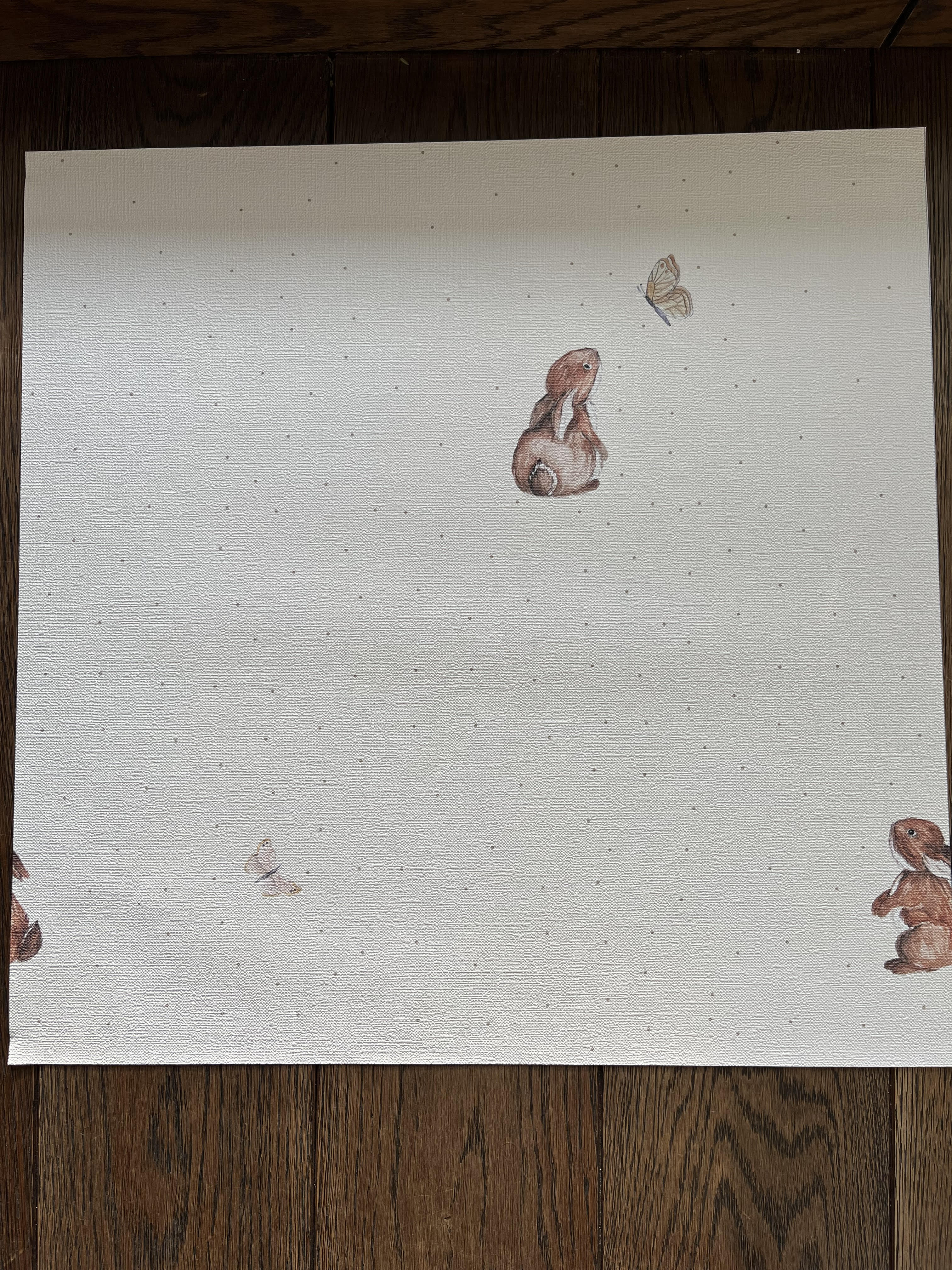 Tapeta króliczki i motylki