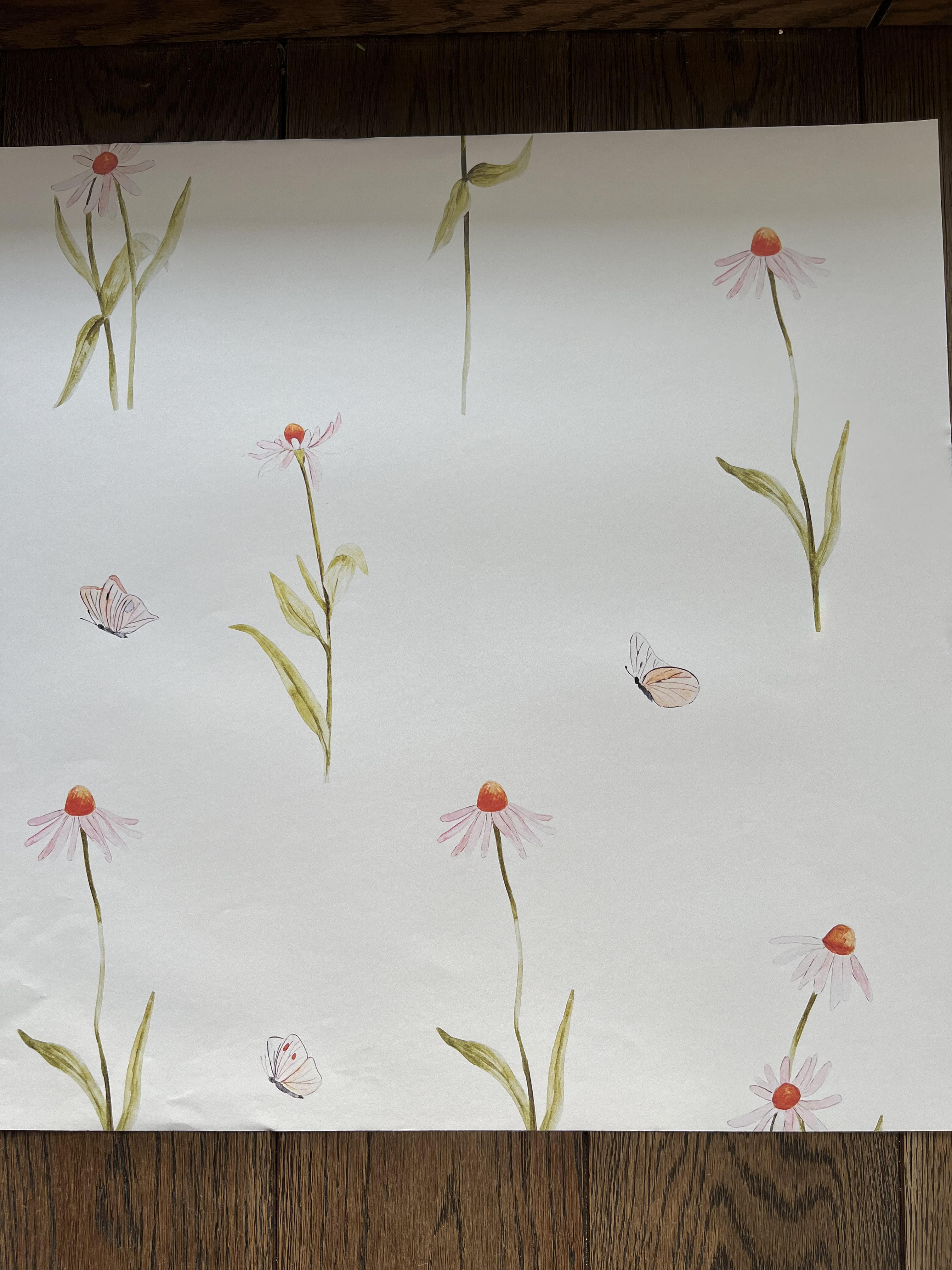 Tapeta kwiaty jeżówka