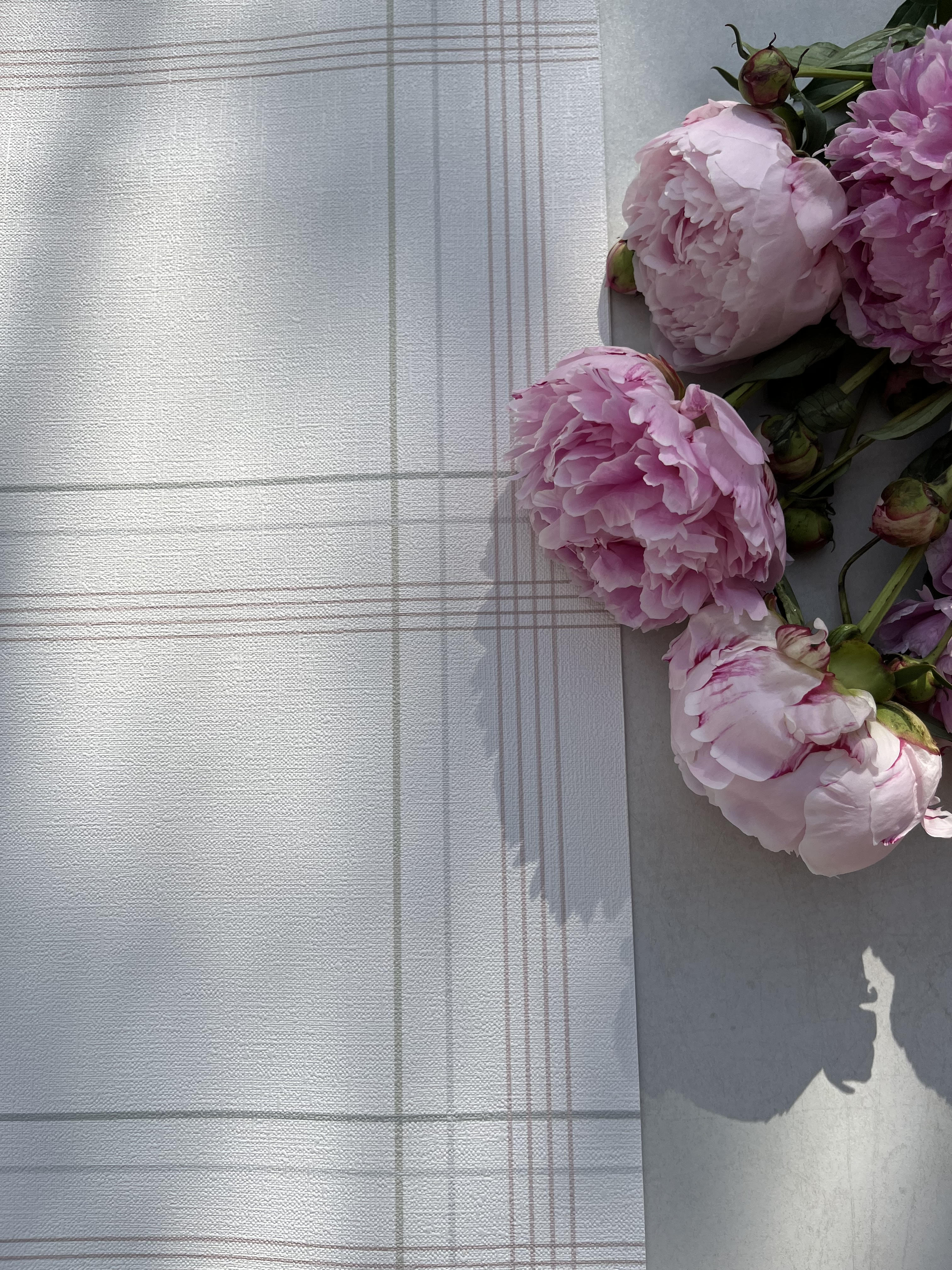 Tapeta w dużą kratę piwonie