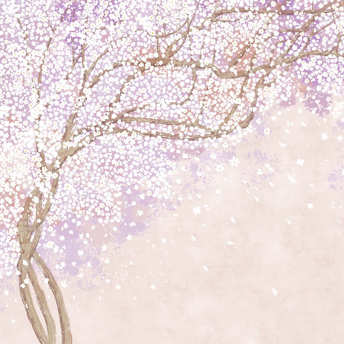 Tapeta japońskie drzewo róż